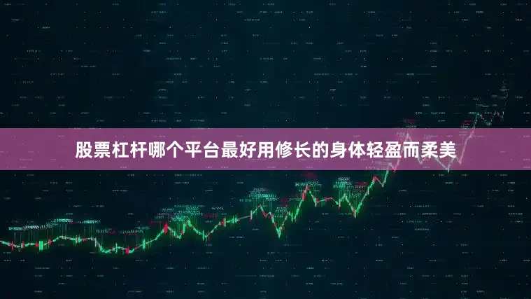 股票杠杆哪个平台最好用修长的身体轻盈而柔美