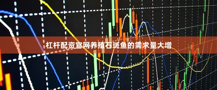 杠杆配资官网养殖石斑鱼的需求量大增