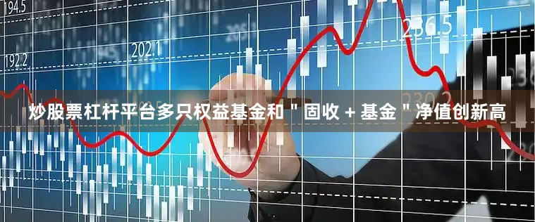 炒股票杠杆平台多只权益基金和＂固收 + 基金＂净值创新高